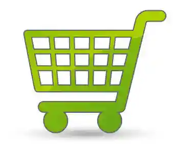 Ecommerce Website Development